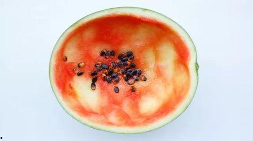 吃瓜网红小勺子视频