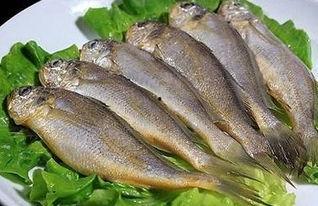 黄鱼视频日韩浴池6分钟,6分钟带你领略异国温泉文化