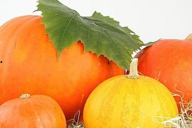 日韩欧美南瓜视频