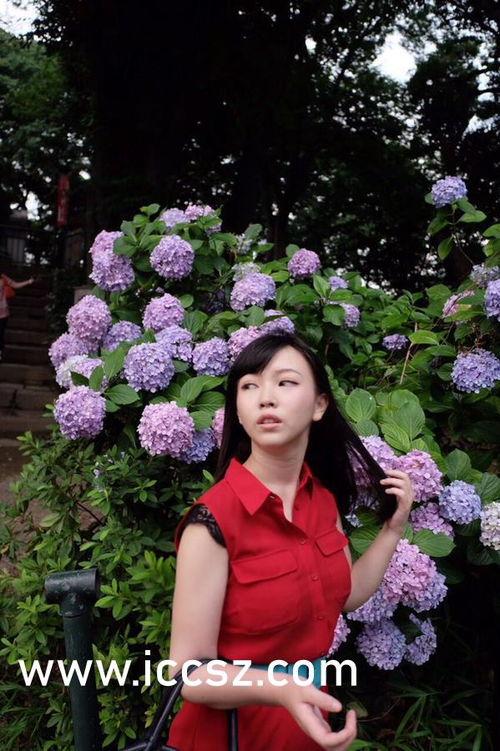 欧洲欧美日韩一二视频,多元文化交融下的视觉盛宴