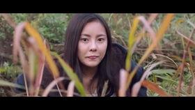 日韩伦理片免费视频,免费视频背后的伦理争议与道德反思